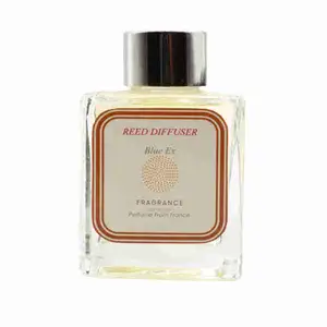 Reed Diffuser Blue ex - Fragrance Diffusion