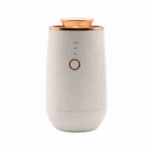Car Diffuser (White + Gold) - Fragrance Diffusion