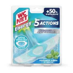 Energy Toilet Block with Frosted Freshness and Mint - WC Net