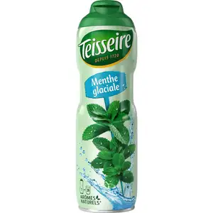 Ice Mint Syrup - Teisseire