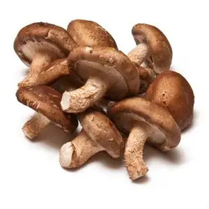 Black Mushroom (Shiitake)