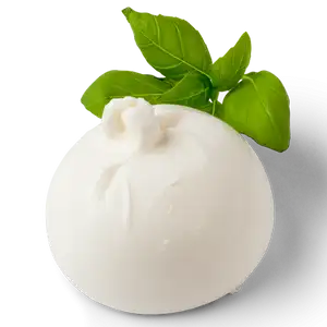 Fresh Burrata - MaMaKo