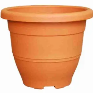 Biodegradable Elegant Series Flower Pot (Cotta) - Baba
