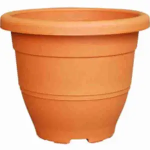 Biodegradable Elegant Series Flower Pot (Cotta) - Baba