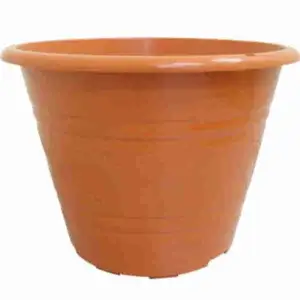 TN Series Flower Pot (Cotta) - Baba