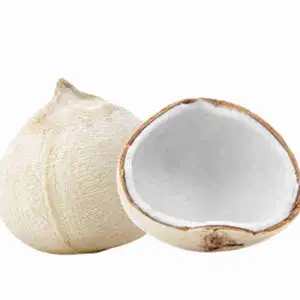 Sweet Coconut White