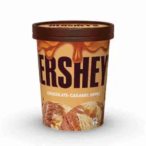 Chocolate Caramel Ripple Ice Cream - Hershey's