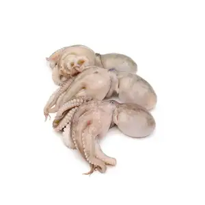 Octopus - Rithy 1 Supply