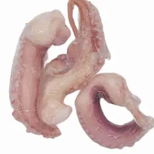 Frozen Squid Hand - Rithy 1 Supply