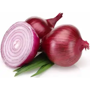 Red Onion