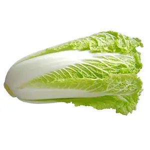 Chinese Cabbage (Nappa)