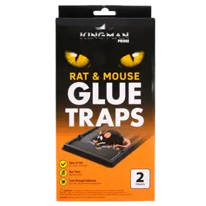 Rat & Mouse Glue Traps - Kingman
