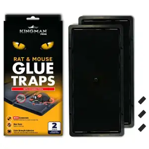 Rat & Mouse Glue Traps with Connectors - Kingman