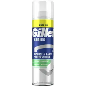 Series Sensitive Shaving Cream - Gillette