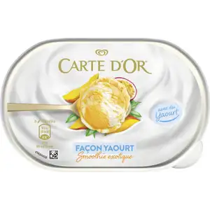 Yogurt-Style Ice Cream Smoothie Exotic Fruits - Carte d'Or