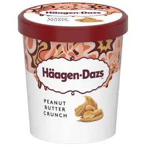Peanut Butter Crunch Ice Cream - Häagen-Dazs