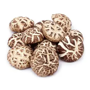 Dried Flower Mushrooms - Sea Quality