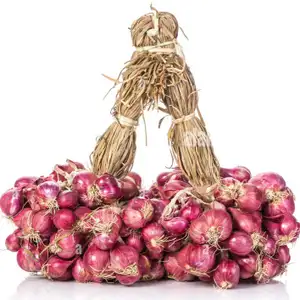 Organic Shallot Bunch - Delishop Fresh