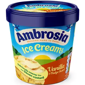 Vanilla & Fudge Wirl Ice Cream - Ambrosia - Ambrosia