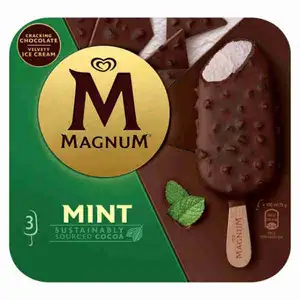Mint Ice Cream - Magnum