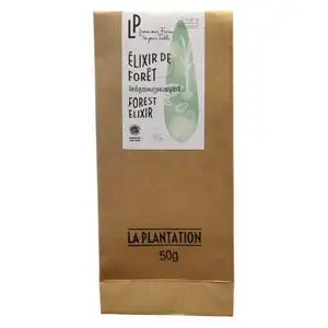 Forest Elixir Infusion Tea - La Plantation