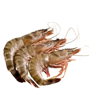 Tiger Prawn - Mao Fishmonger