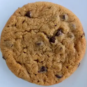 Chocolate Chip Cookie - Java Creative Café 