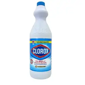 Original Cleaning & Disinfecting Bleach - Clorox