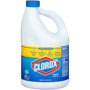 Bleach Regular - Clorox