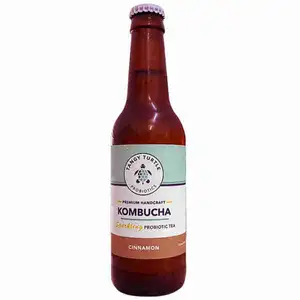 Kombucha Cinnamon - Tangy Turtle Probiotics
