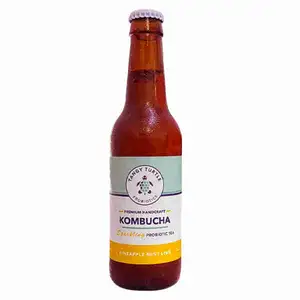 Kombucha Pineapple Mint Lime - Tangy Turtle Probiotics