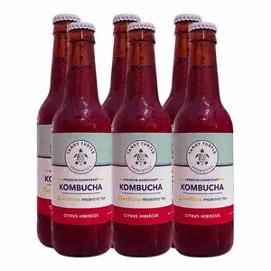 Kombucha Citrus Hibiscus X6 - Tangy Turtle Probiotics