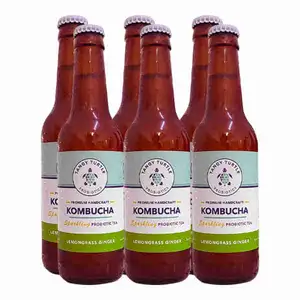 Kombucha Lemongrass Ginger X6 - Tangy Turtle Probiotics