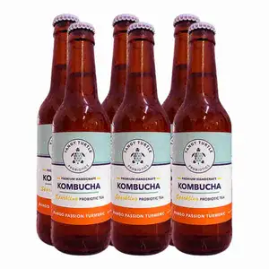 Kombucha Mango Passion Turmeric X6 - Tangy Turtle Probiotics