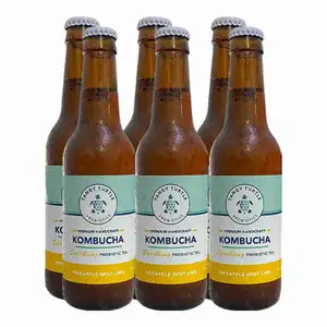 Kombucha Pineapple Mint Lime X6 - Tangy Turtle Probiotics
