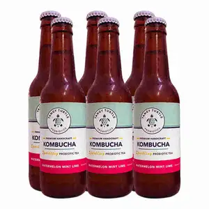 Kombucha Watermelon Mint Lime X6 - Tangy Turtle Probiotics
