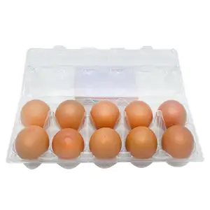 UV Eggs - Delishop Fresh