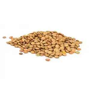 Dry Yellow Bean