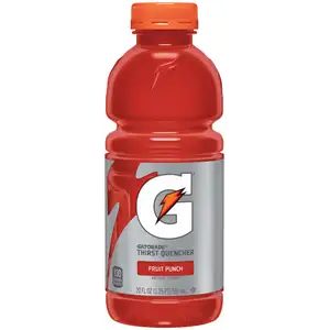 Fruit Punch Thirst Quencher - Gatorade