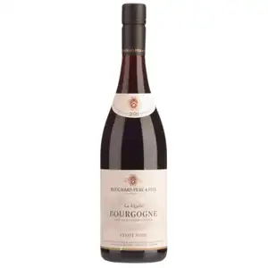 "La Vignée", Bourgogne AOP Red - Bouchard Père & Fils