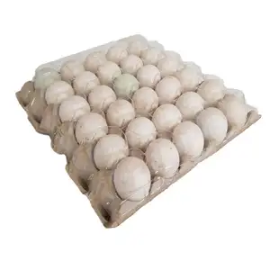 Fresh Duck Eggs with Paper Pulp Tray Size XL - Delishop Fresh
