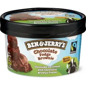 Chocolate Fudge Brownie - Ben & Jerry's