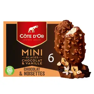 Mini Chocolate & Vanilla, Chocolate & Hazelnuts Ice Cream - Côte D'or