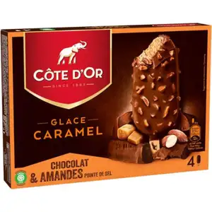 Caramel, Chocolate & Almonds Ice Cream - Côte D'or