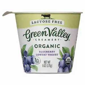Lactose Free Organic Blueberry Lowfat Yogurt - Green Valley