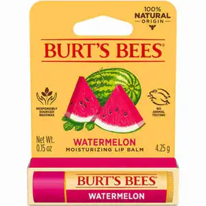 Watermelon Moisturizing Lip Balm - Burt's Bees