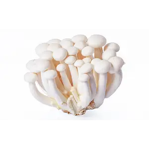 White Shimeji Mushroom - Delishop Fresh