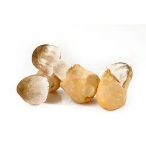 Rice Straw Mushroom - Delishop Fresh