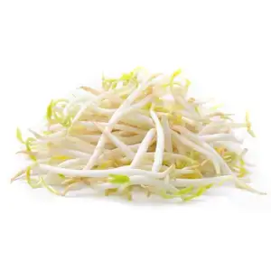 Bean Sprout - Delishop Fresh