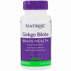 Ginkgo Biloba Brain Health 120mg - Natrol